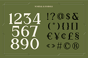 Aigos - Elegant Serif Display Font, a Serif Font by Pekotype (Thumbnail 4 of 15)