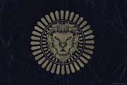 150 Retro Sunbursts, an Object Graphic by TSV Creative (Thumbnail 5 of 5)