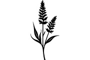Decorative Tribal Feather Vector, an Object Graphic by Designer_Momina (Thumbnail 3 of 18)