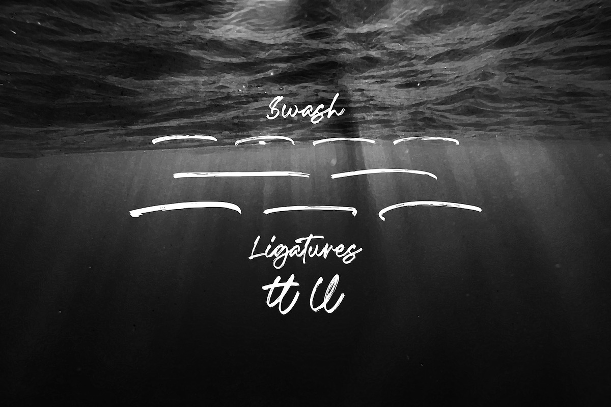 Fentry - Textured Brush Font, a Script Font by StringLabs (Photo 12 of 12)