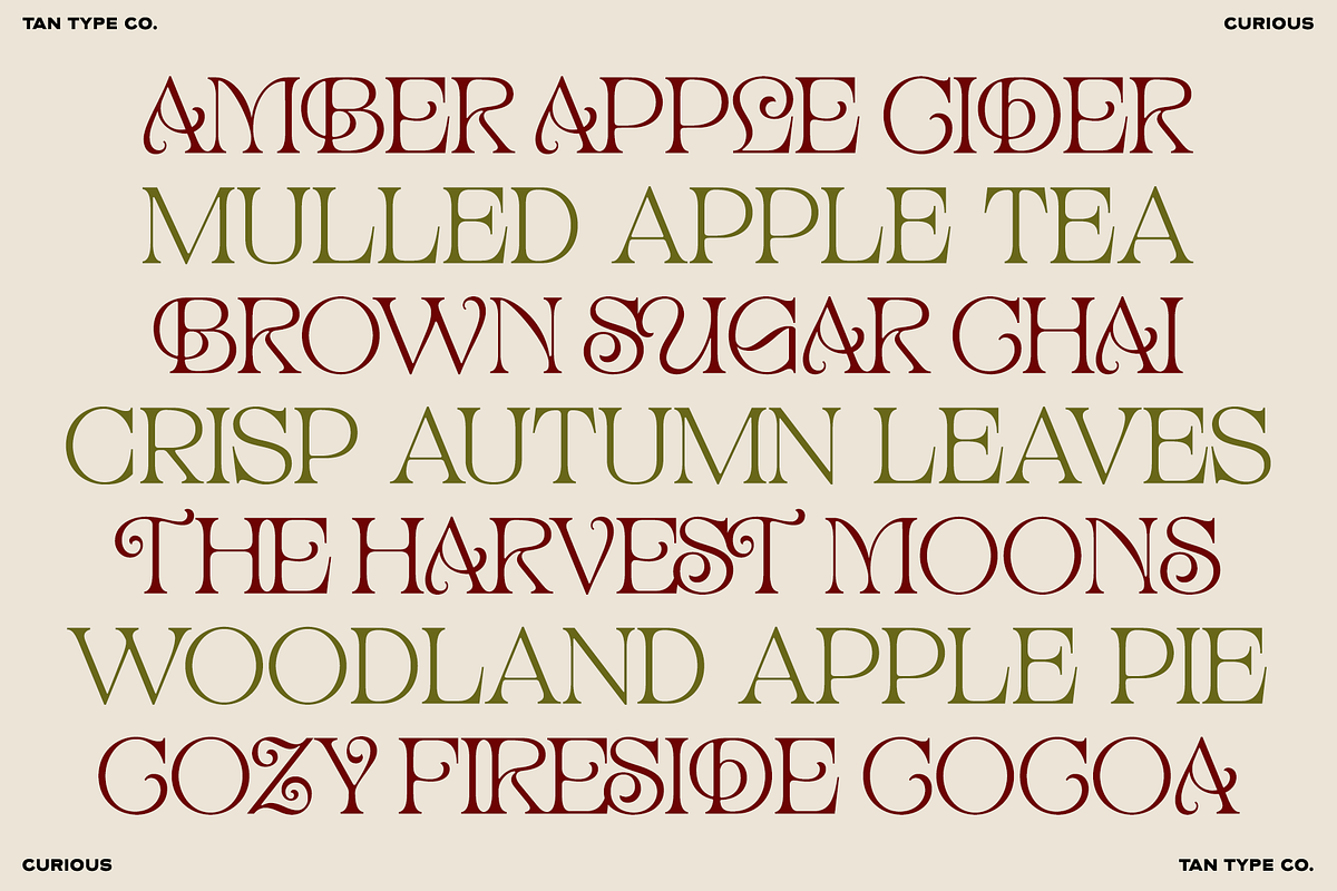 TAN - CURIOUS, a Serif Font by TanType (Photo 6 of 11)