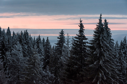 mountain forest in winter, a Background Photo by wr7 Media