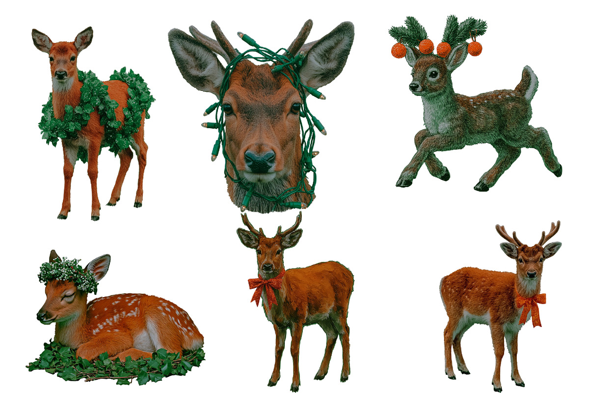 Christmas Reindeer Clipart, an Illustration by Designworld (Photo 3 of 5)