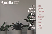 Amelia, a Serif Font by Kenrichi (Thumbnail 3 of 10)