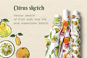 Citrus sketch. Oranges and lemons, a Food Illustration by irina.vaneeva (Thumbnail 10 of 11)