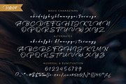 Betterlett, a Script Font by Digitype Studio (Thumbnail 9 of 10)