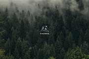 Tootem Bundle, an Animal Illustration by Annie Konst (Thumbnail 20 of 20)