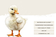 Watercolor Woodland Portraits, an Animal Illustration by Design Scotch (Thumbnail 6 of 7)