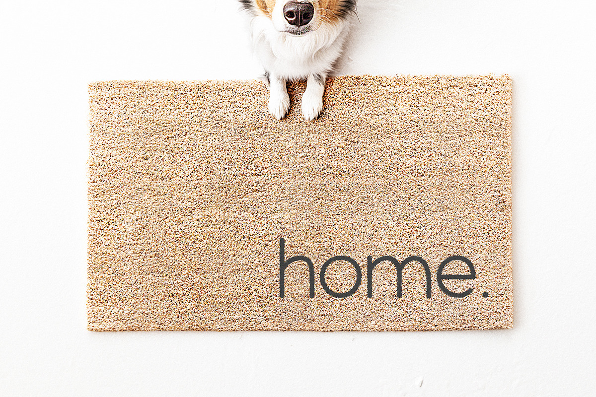 Golden Pear | Cute Sans Font, a Sans Serif Font by KA Designs (Photo 8 of 10)