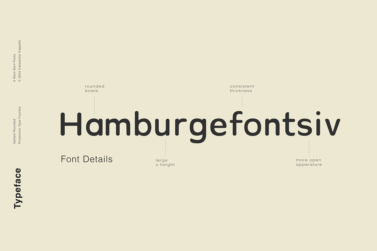 Gallant Rounded - Geometric Typeface, a Sans Serif Font by Cassandra Cappello (Photo 4 of 7)
