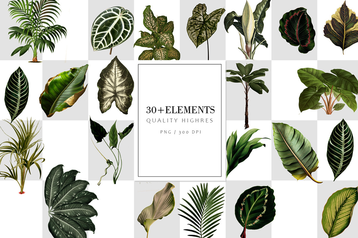 Wild Leafs (Foliage Pattern), a Wallpaper Graphic by Luiz da Rolt Grathwohl (Photo 3 of 8)