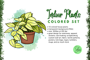 Indoor Plants Cliparts - Colored Set, an Object Illustration by shielscreations (Thumbnail 3 of 3)