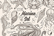 Marine life set., an Animal Illustration by FoxyDraw (Thumbnail 1 of 8)