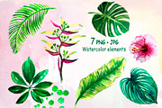 Watercolor tropical leaves Clipart, a Decorative Illustration by lilisavelieva (Thumbnail 4 of 7)