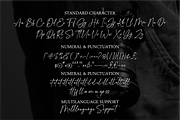 Outlined Signature Font, a Handwritten Font by MJB Letters (Thumbnail 9 of 9)