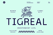 CS Carsten Drawn, a Sans Serif Font by Craft Supply Co. (Thumbnail 6 of 8)