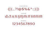 Swanza - Luxury Elegant Sans Serif, a Sans Serif Font by Typia Nesia (Thumbnail 4 of 12)