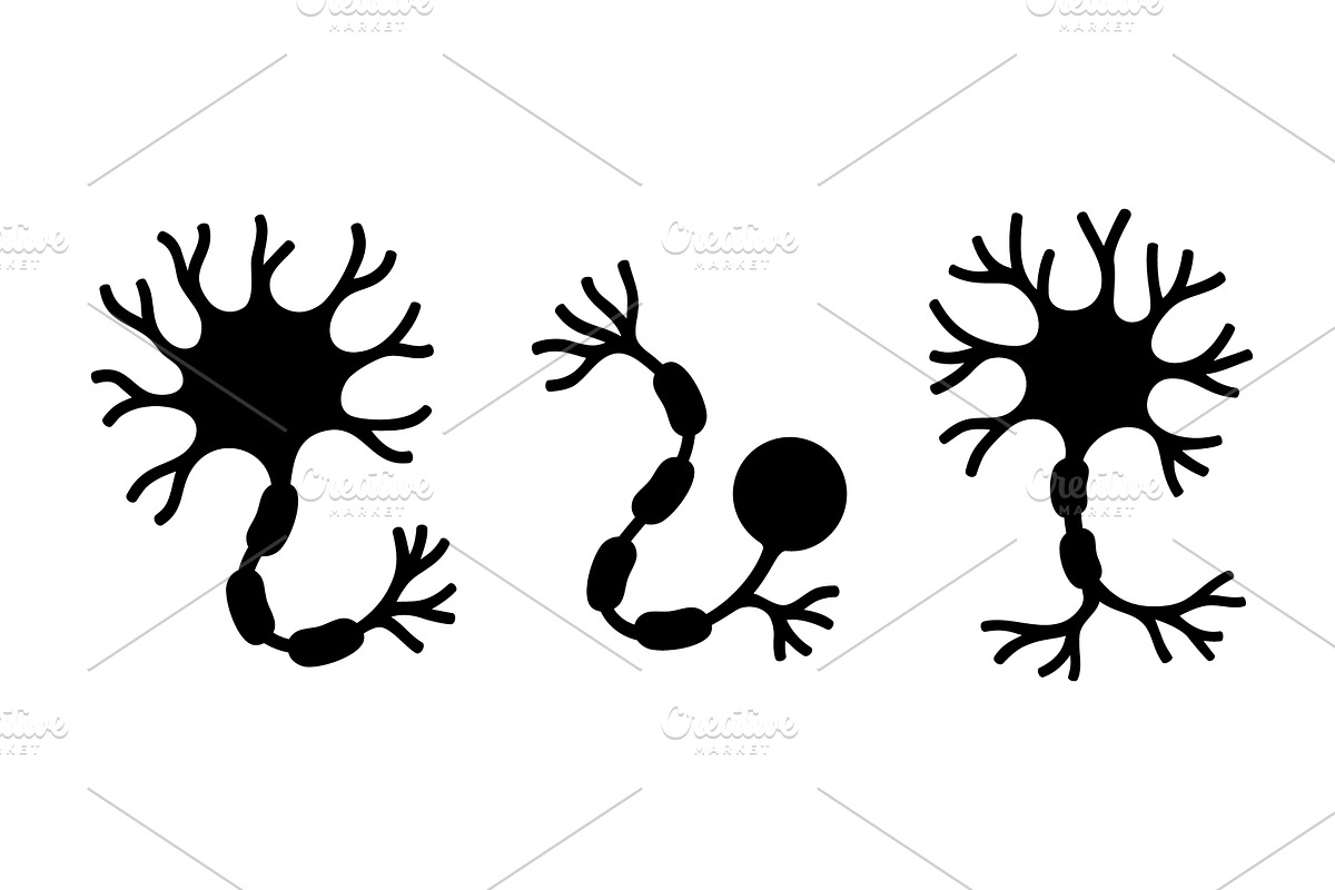 Three neuron types showing axons, an Illustration by GraphiShop