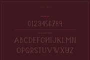 Serpens Display Font, a Serif Font by infernostudio3 (Thumbnail 11 of 11)