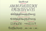 Charlotte Script, a Script Font by Genesis Lab (Thumbnail 6 of 6)