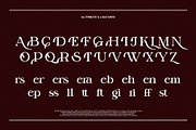 Billker Elegant Ligature Serif, a Serif Font by Alfinart (Thumbnail 8 of 10)