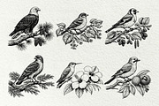 Vintage Bird Line Art Graphics, an Animal Illustration by DENIDigitalArtSudio (Thumbnail 4 of 7)