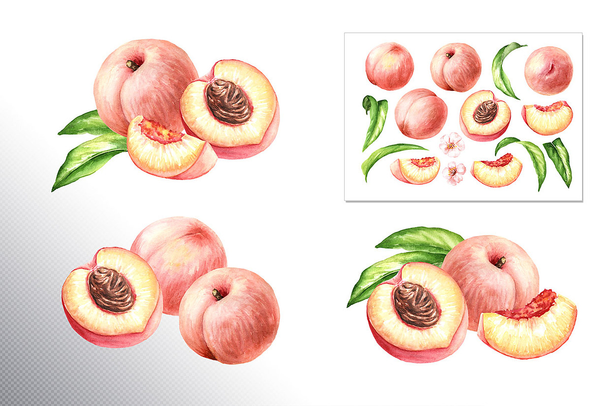 Ripe Peaches. Watercolor set, a Food Illustration by Daria Ustiugova (Photo 2 of 23)
