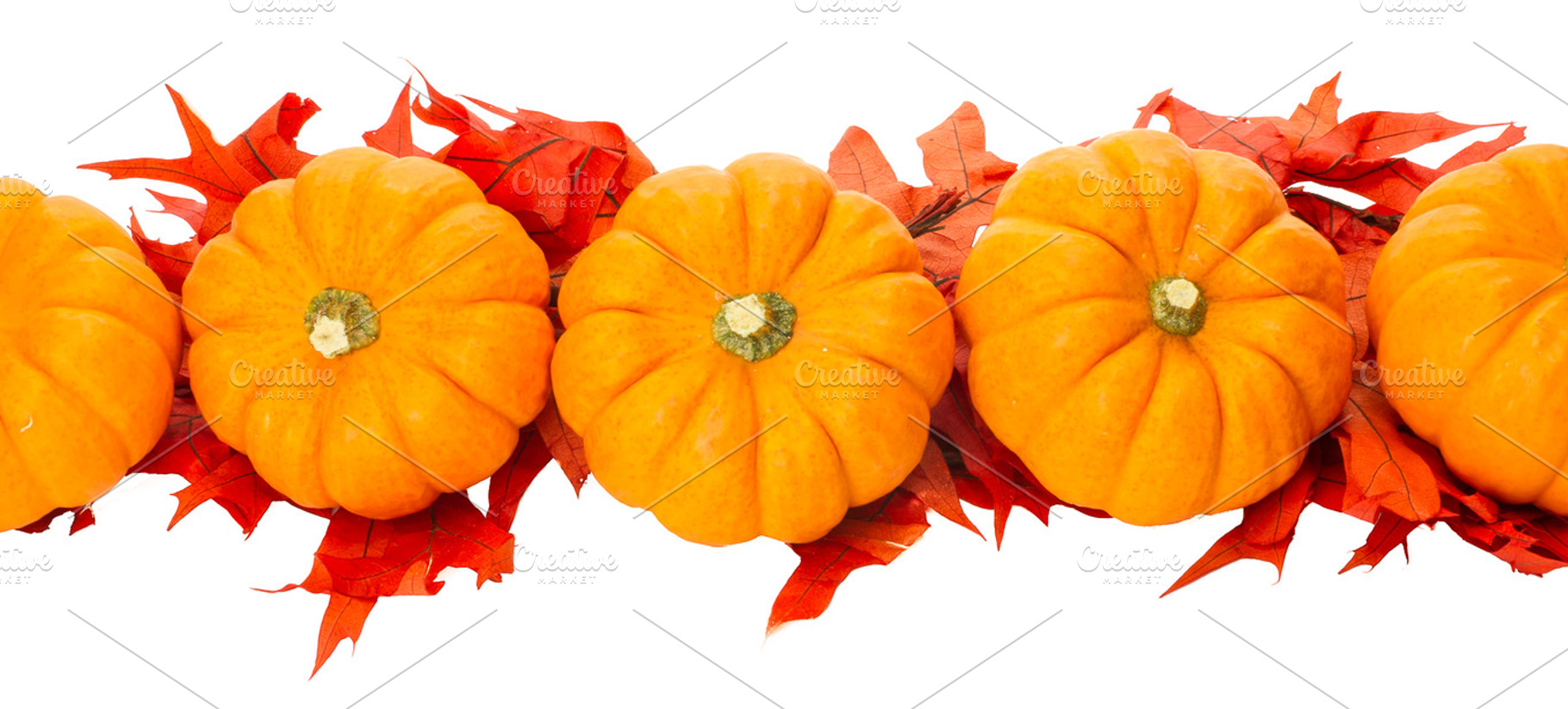 Fall border or element with pumpkins