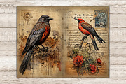 Vintage Birds Junk Journal Pages, an Animal Illustration by GlamArtZhanna (Thumbnail 6 of 9)