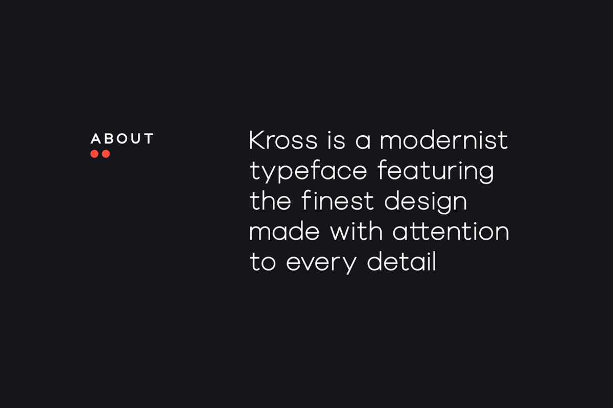 KROSS NEUE GROTESK - The Font Family, a Sans Serif Font by Designova® (Photo 3 of 10)