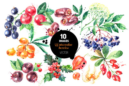 Watercolor Berries Vector Set 2