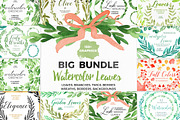 Bundle - Tropical Watercolor Leaves, an Illustration by Essem Creatives (Thumbnail 1 of 26)