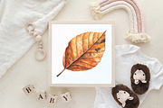Watercolor Autumn Leaf Clipart, an Illustration by CraftArtStudio (Thumbnail 6 of 6)