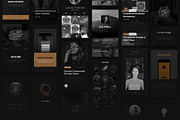 Gold & Coal - UI Kit, an UI Kit Template by Studio Dusk (Thumbnail 12 of 15)