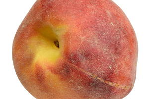 Large ripe peach with velvety red and yellow skin on an isolated, a Food & Drink Photo by ndanko