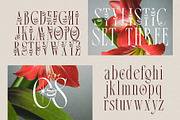 Broshock Typeface, a Serif Font by alit design (Thumbnail 17 of 20)