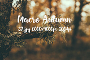 Macro Autumn photo bundle, a Templates & Theme by ApertureVintage (Thumbnail 14 of 21)