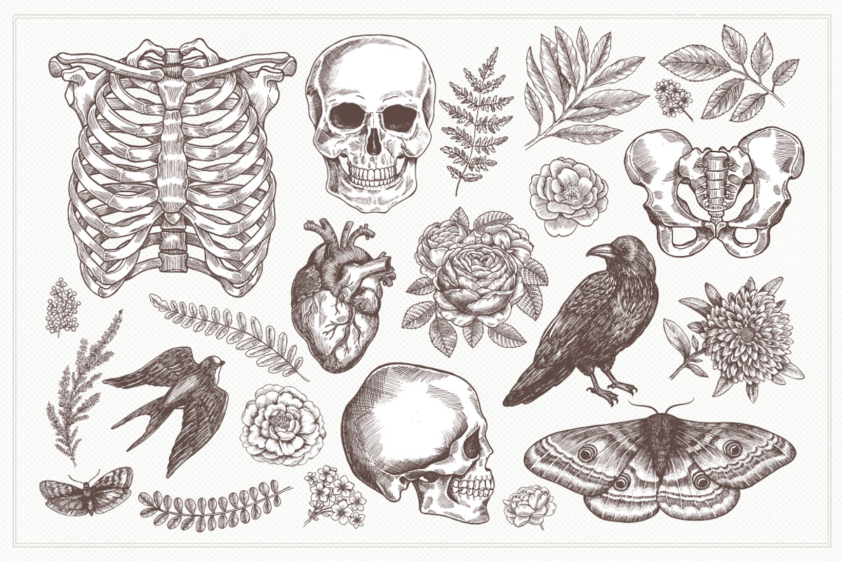 Floral Anatomy, an Illustration by adehoidar (Photo 2 of 9)