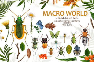 Macro World Illustrations Set