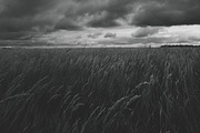 Mood collection, a Photo by Alekseyliss (Thumbnail 14 of 21)
