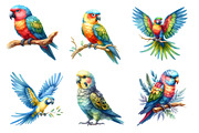 Watercolor  Parrots Clipart, an Illustration by Designworld (Thumbnail 3 of 6)