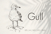 Sea gull. Hand-drawn sketch, an Illustration by Canatic (Thumbnail 1 of 5)