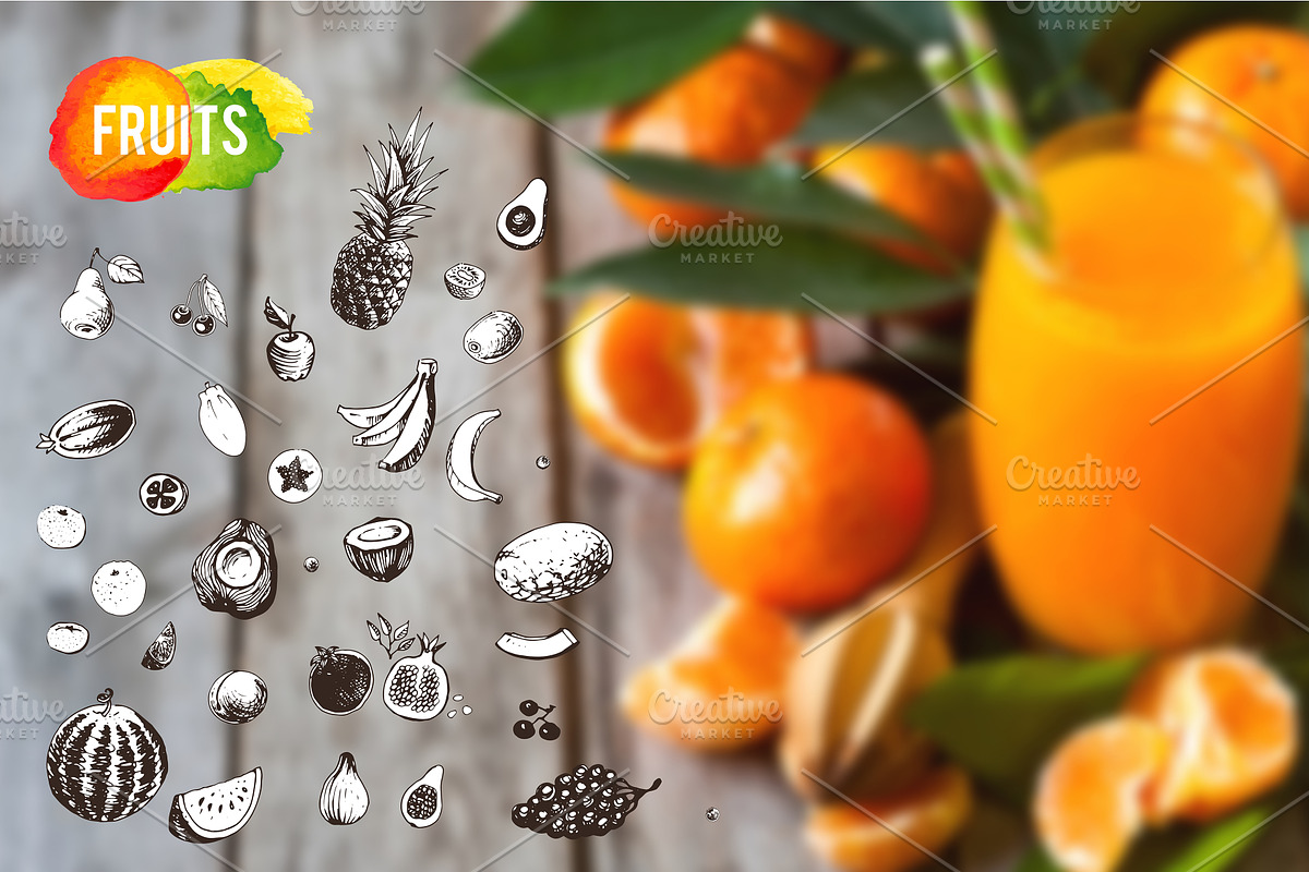 Hand-drawn fruit. vector, a Food Illustration by Margo Miller (Photo 3 of 5)