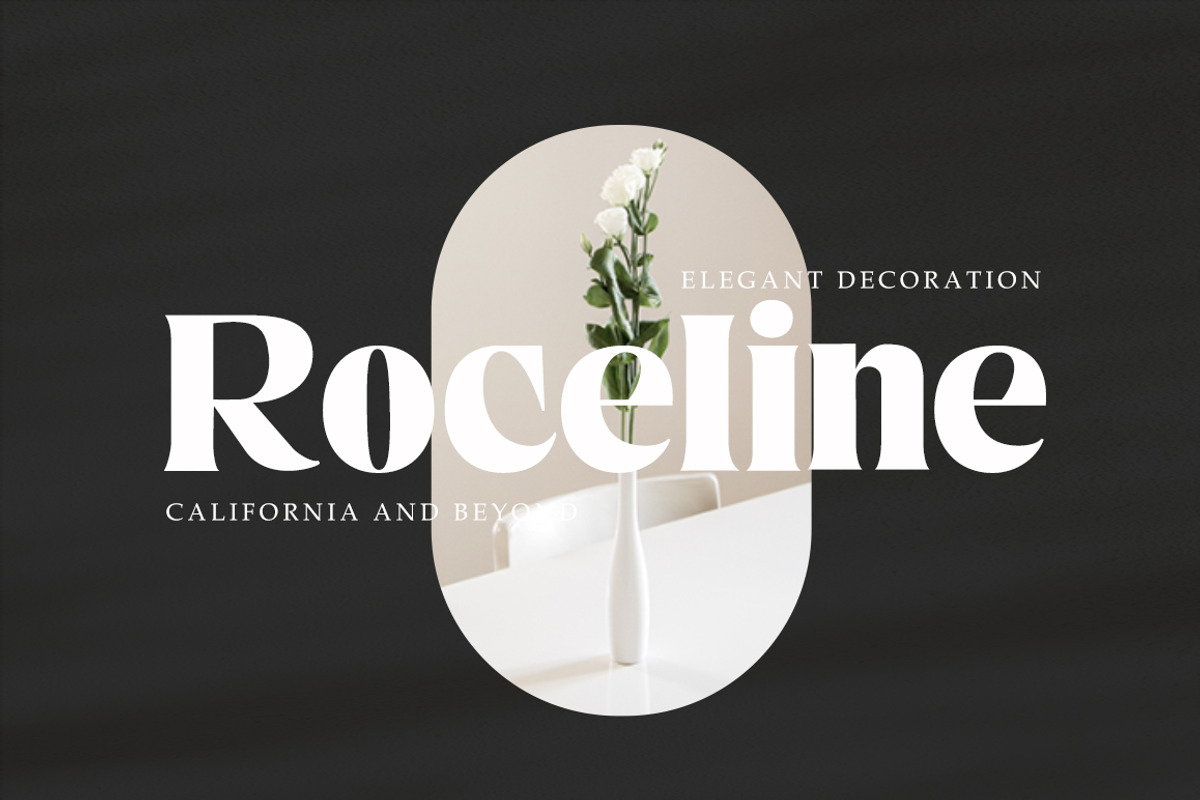 Nelona Serif, a Serif Font by Megatype (Photo 4 of 11)