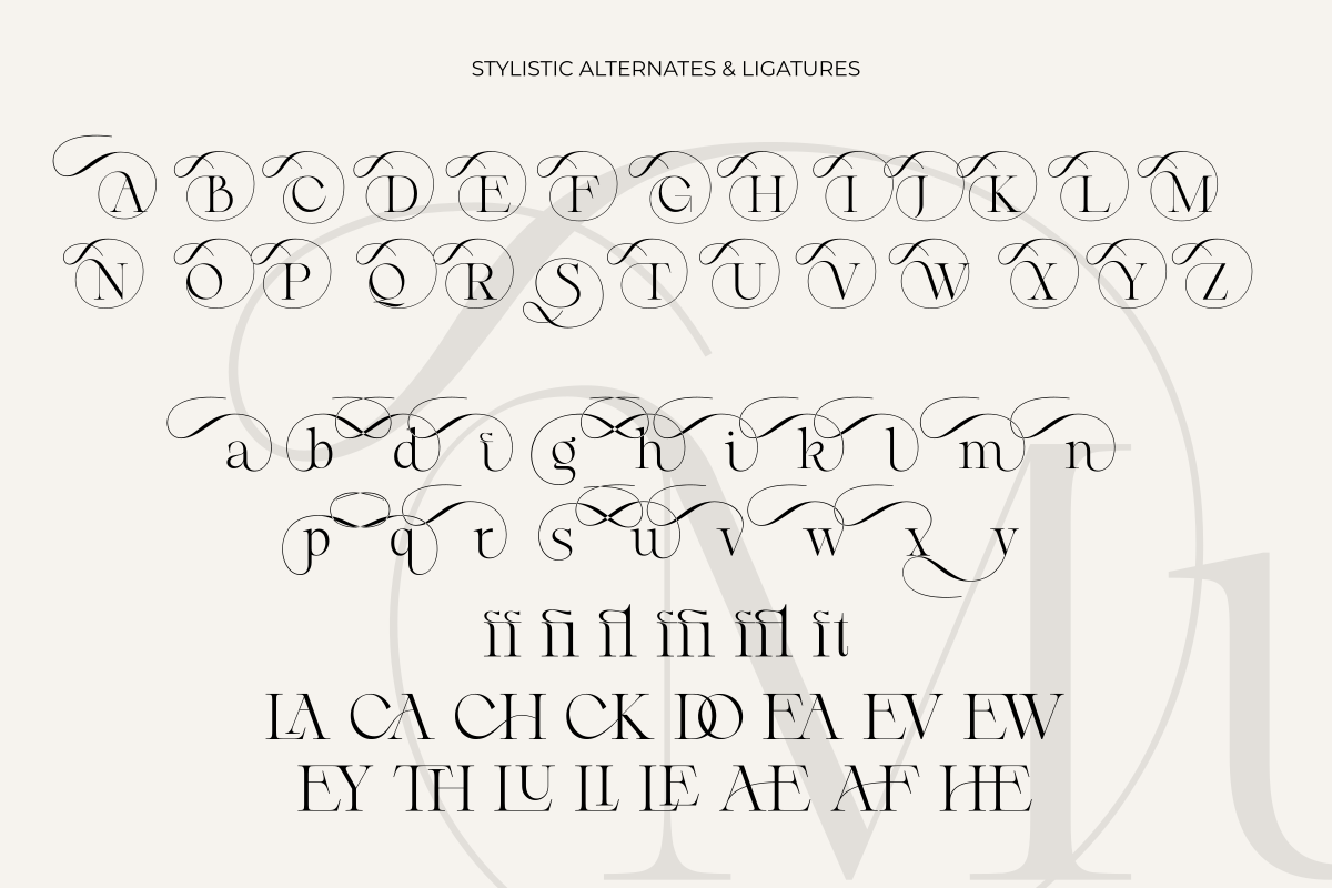 Mustinya, a Serif Font by Zafiratype (Photo 11 of 11)