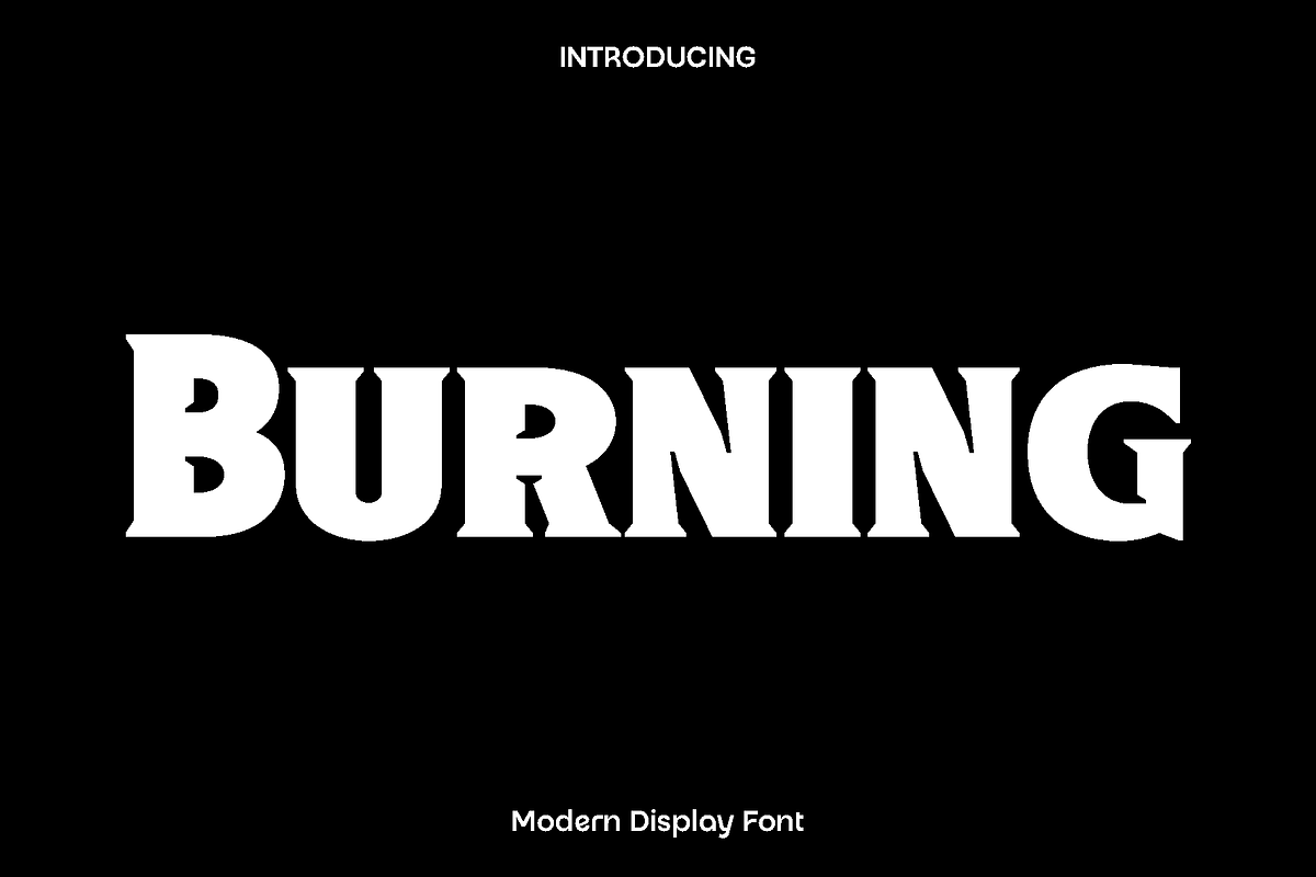 Burning Display Font, a Serif Font by Luna Shop (Photo 1 of 5)