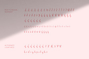 Brokkie | Modern Calligraphy Font, a Script Font by Sumbo Pinheiro (Thumbnail 11 of 12)