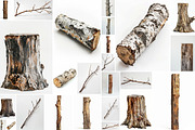 Wood - 163 images, a Nature Photo by Handmadefont (Thumbnail 6 of 25)