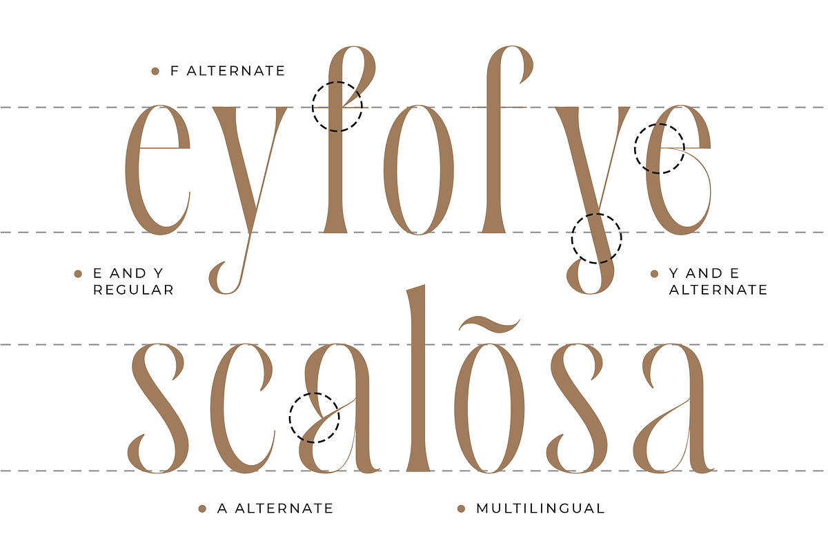 Asiafest - A Unique & Stylish Serif, a Serif Font by Typia Nesia (Photo 6 of 12)