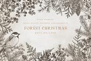 Forest Christmas  b&w, a Decorative Illustration by Lisla (Thumbnail 1 of 11)